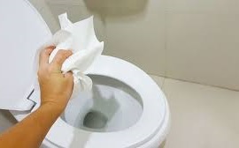 استفاده از توالت به عنوان سطل زباله