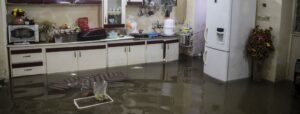 افزایش سطح دریا